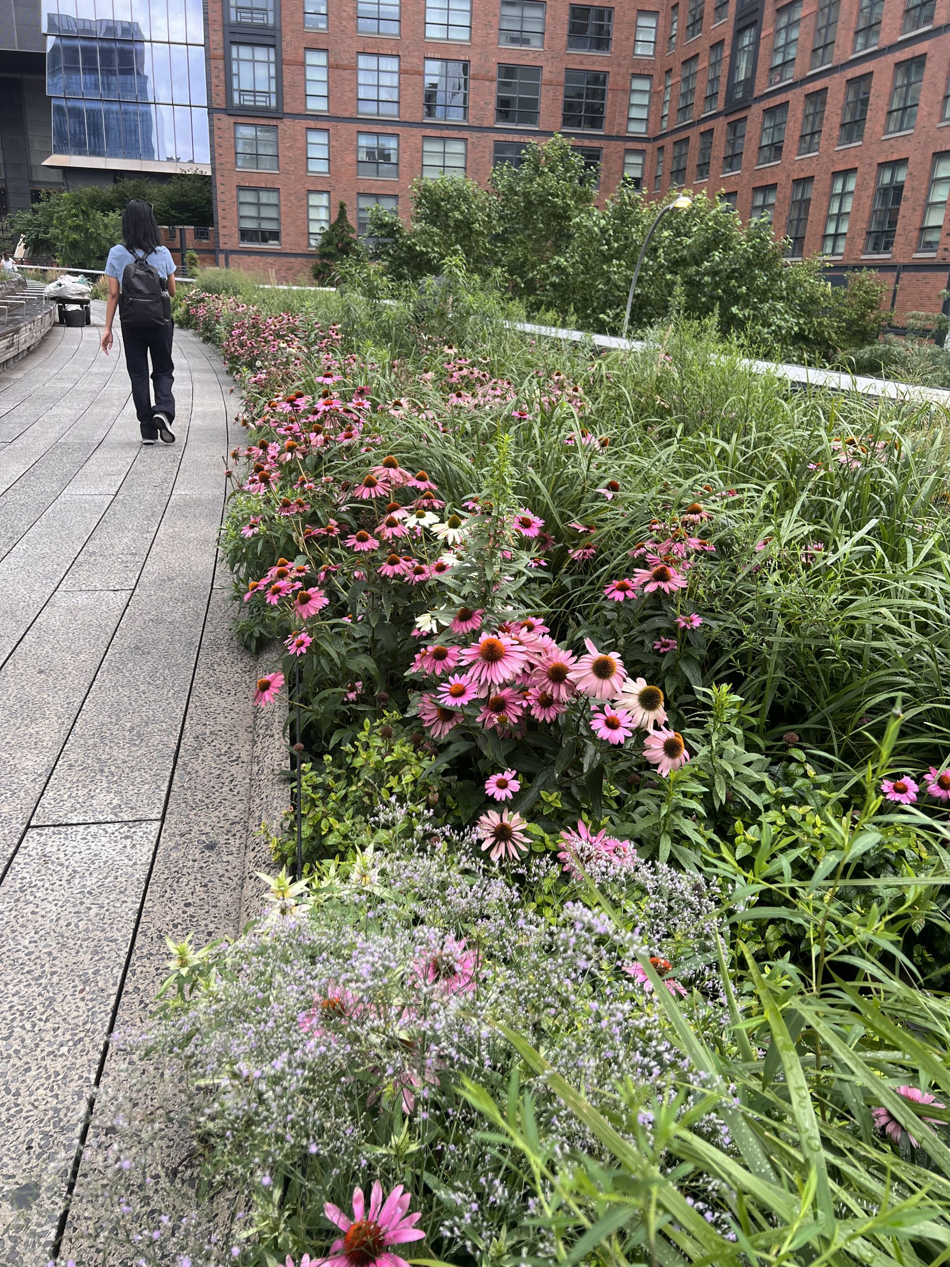 Visiting NYC Series #2 Spotlight on the High Line…a Green Oasis in the Sky 